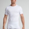 ストレッチ シュペリア コットン Tシャツ ストレッチ シュペリア コットン Tシャツ
